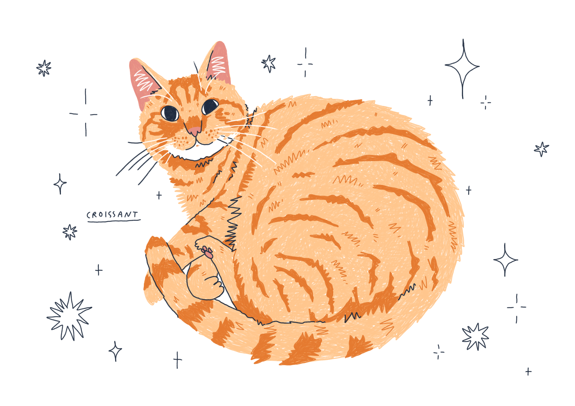 Custom Cat Portraits