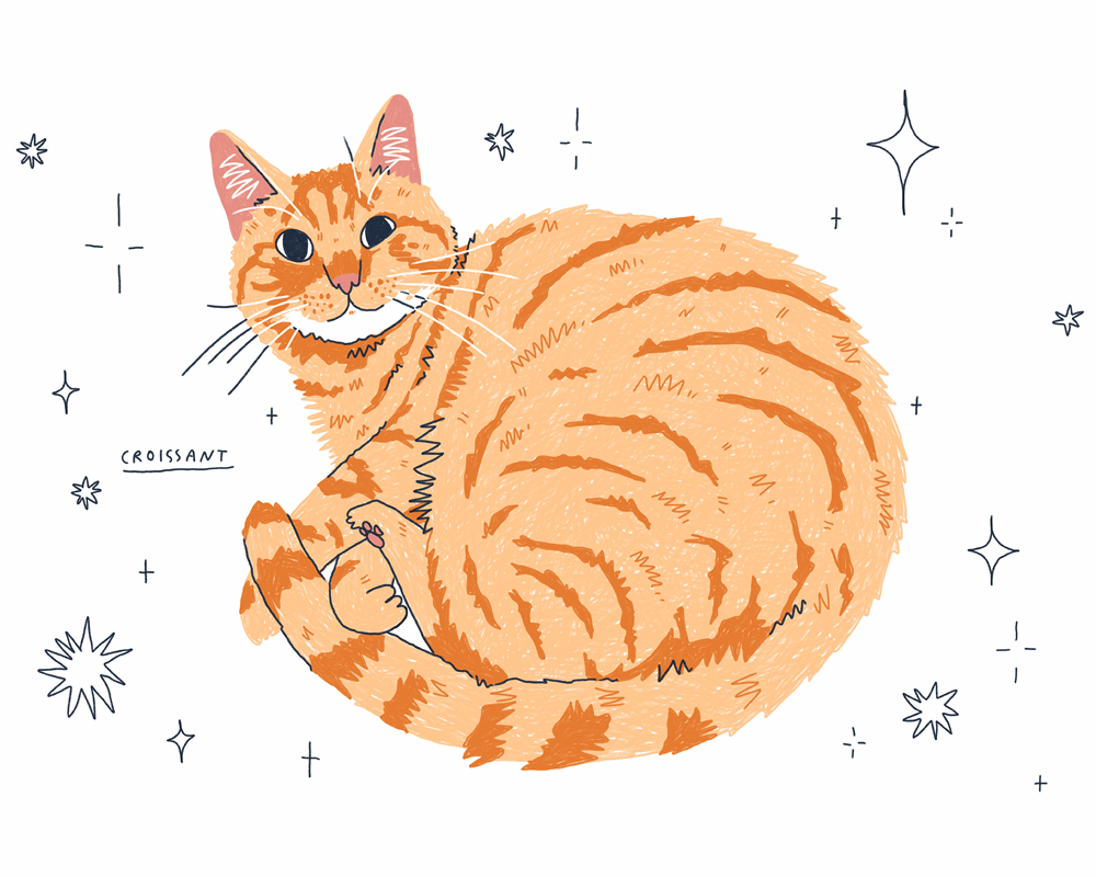 Custom Cat Portrait - Digital file