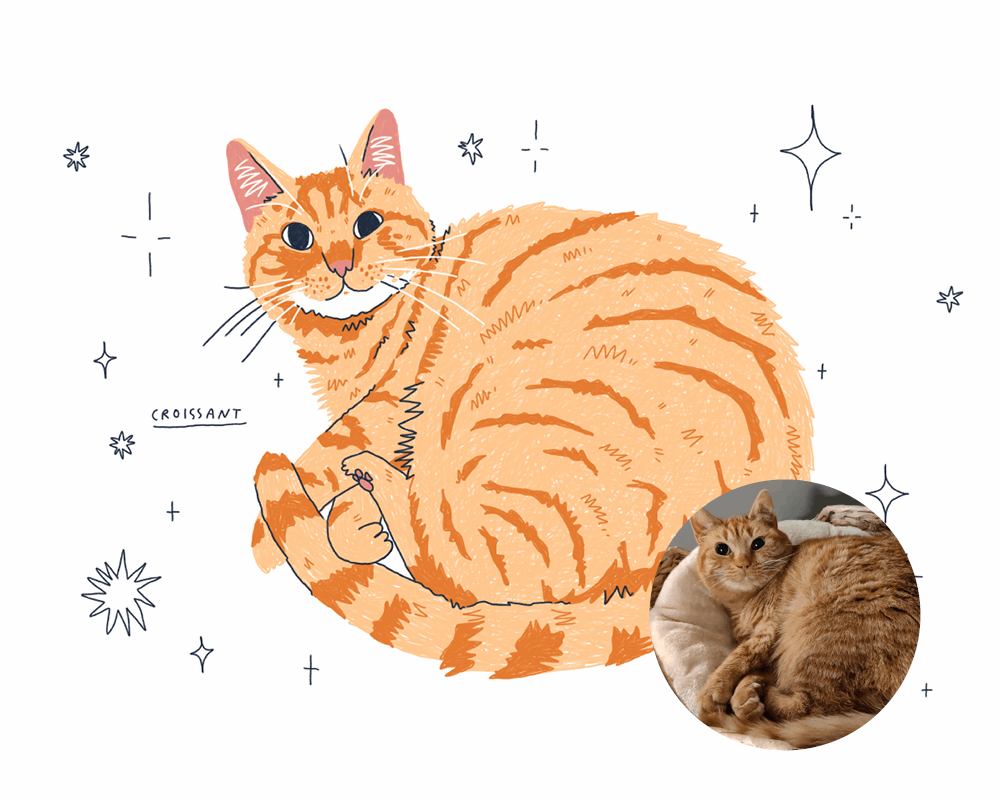 Custom Cat Portrait - Digital file