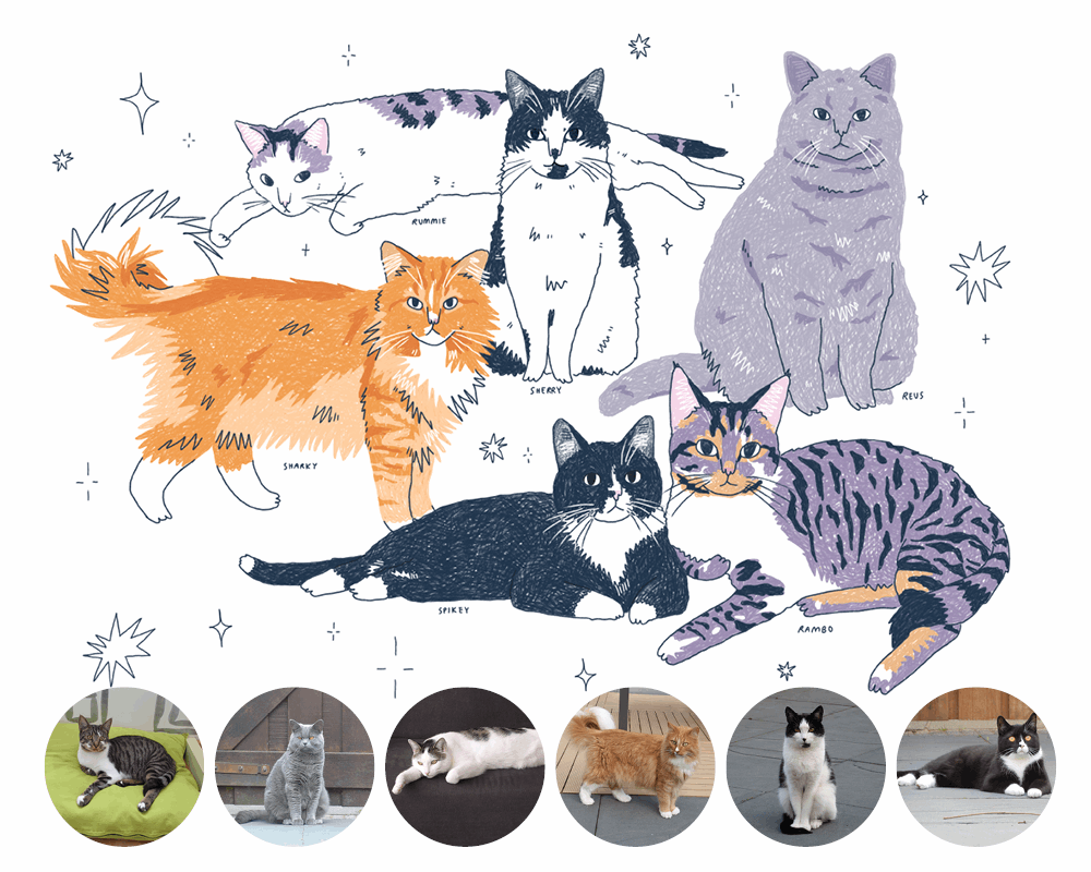 Custom Cat Portrait - Digital file