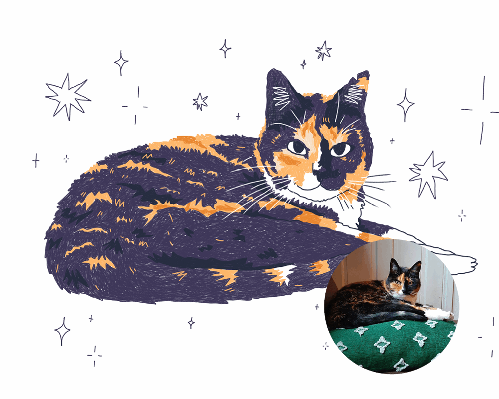 Custom Cat Portrait - Digital file