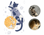 Custom Cat Portrait - Digital file