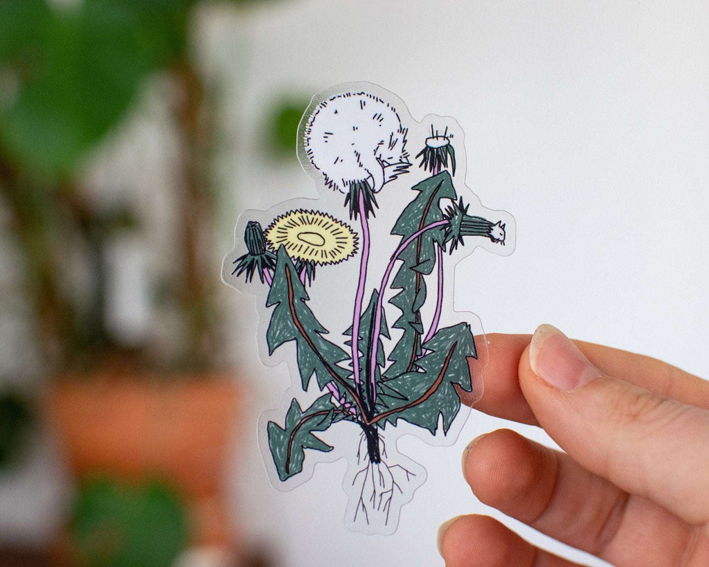 Dandelion Cat Transparent Sticker: Kawaii Plant Art
