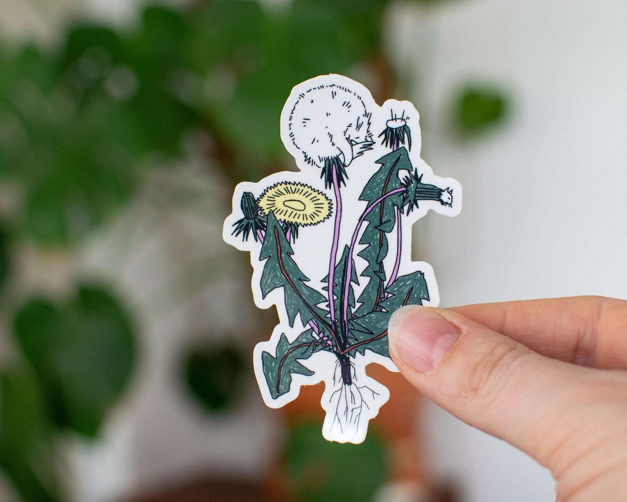 Dandelion Cat Transparent Sticker: Kawaii Plant Art