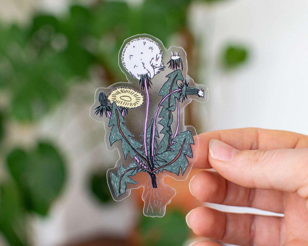 Dandelion Cat Transparent Sticker: Kawaii Plant Art