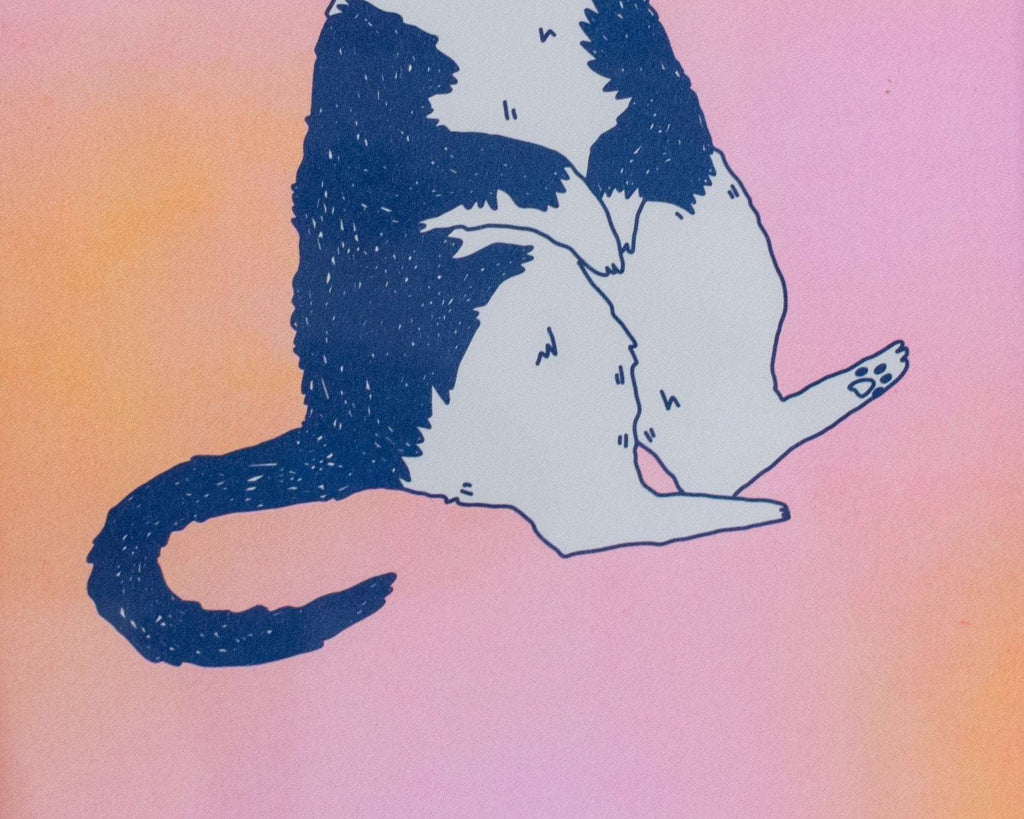Orange Cat A4 Risograph poster | Illustration in fluorescent pink, yellow and federal blue of a grumpy cat that balances oranges on its head