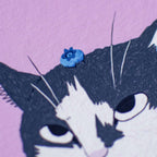 Grumpy Cat Art Print: Blueberry Tuxedo Cat Giclée Drawing
