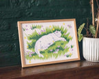 Garden sleeps | Giclée art print for outdoor lovers of a white cat sleeping on grass with flowers surrounding it