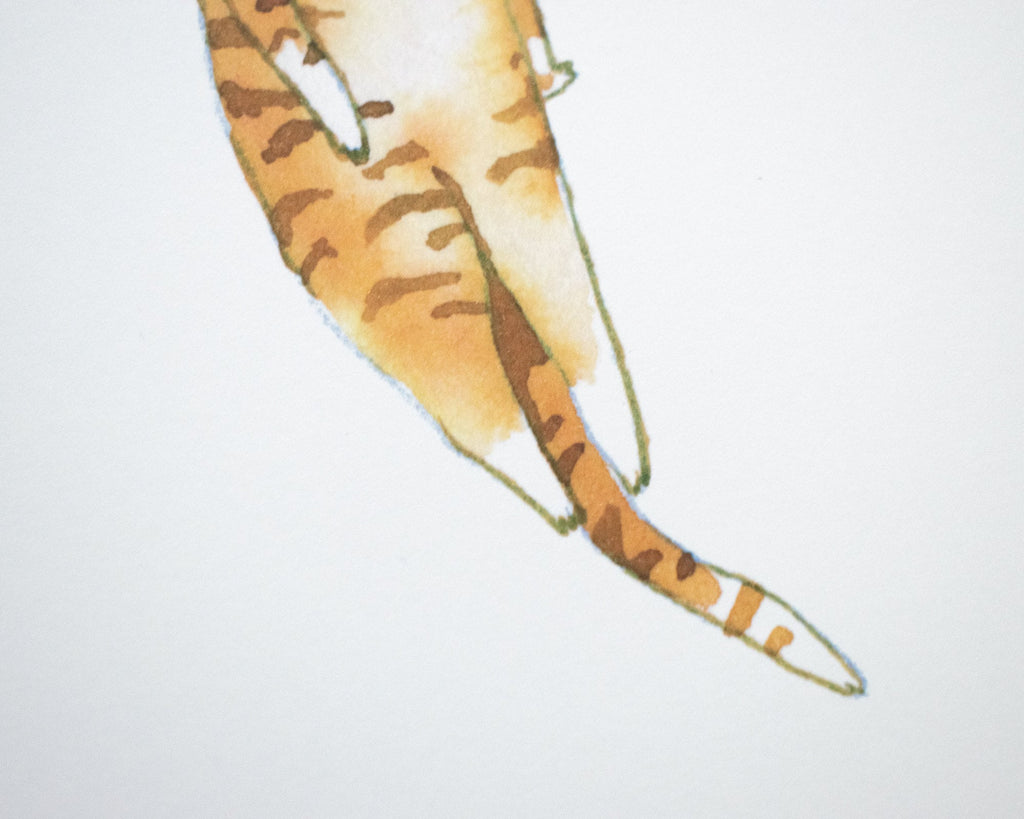 Carrot Cat Art Print: Whimsical Veggie Illustration