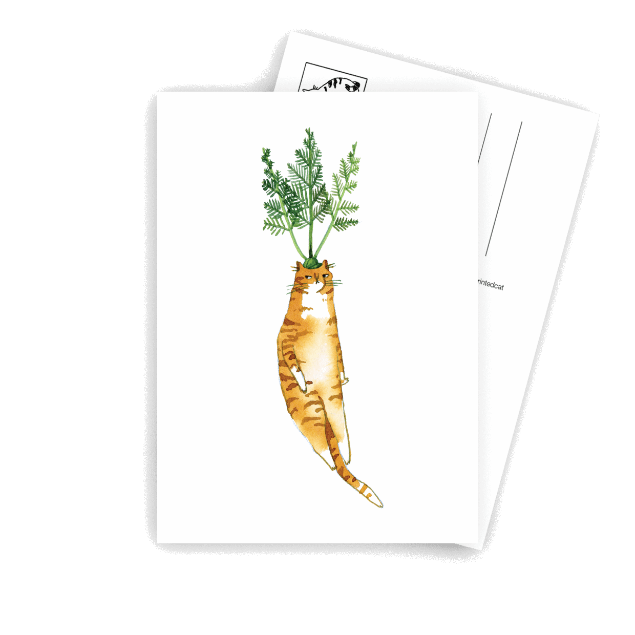 Carrot Cat - A6 Postcard