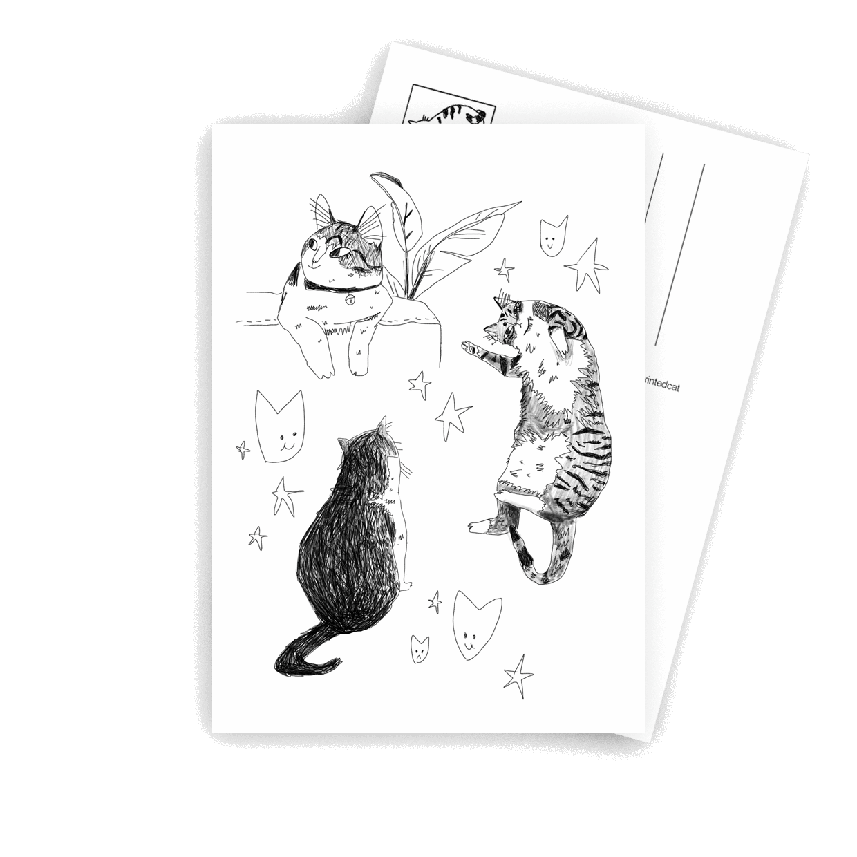 Cat Sketches - A6 Postcard