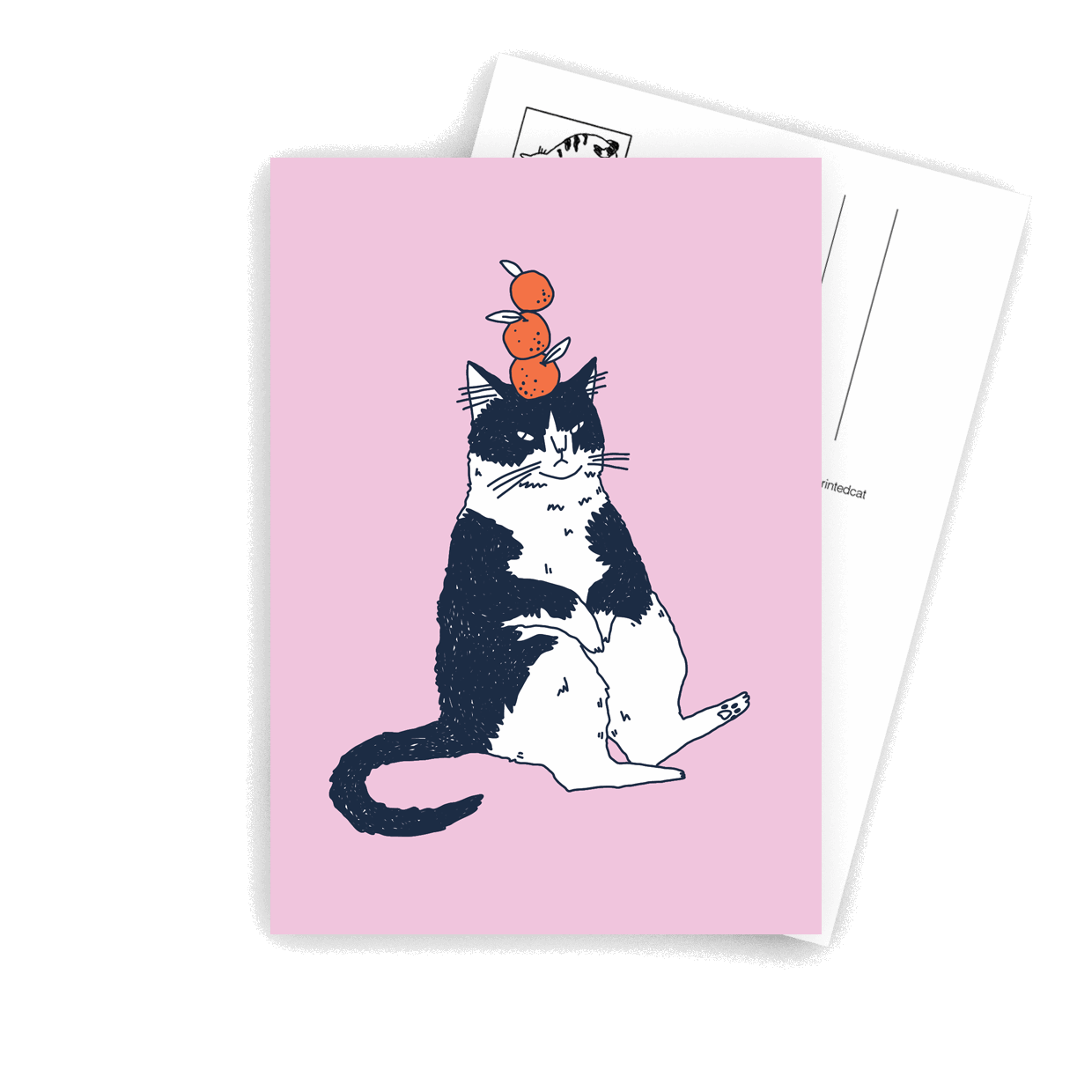 Clementine Cat- A6 Postcard