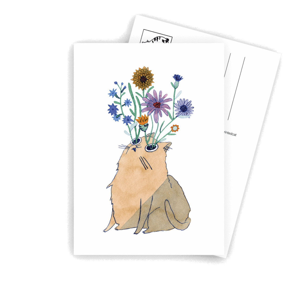 Flower Eyes - A6 Postcard